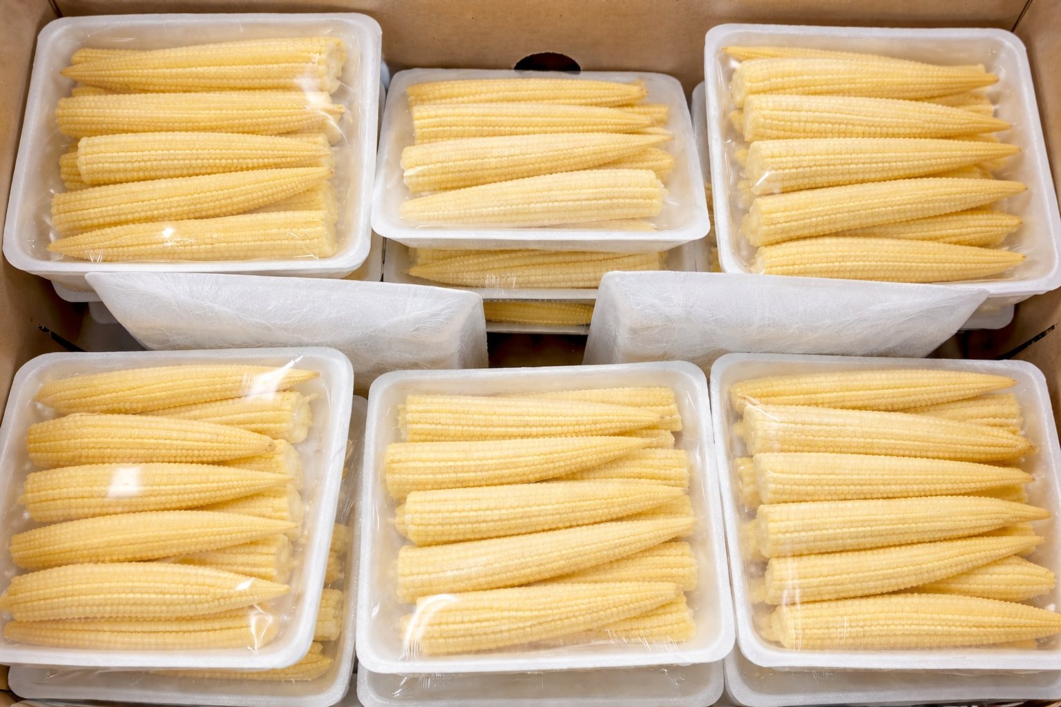 Bulk carton baby corn
